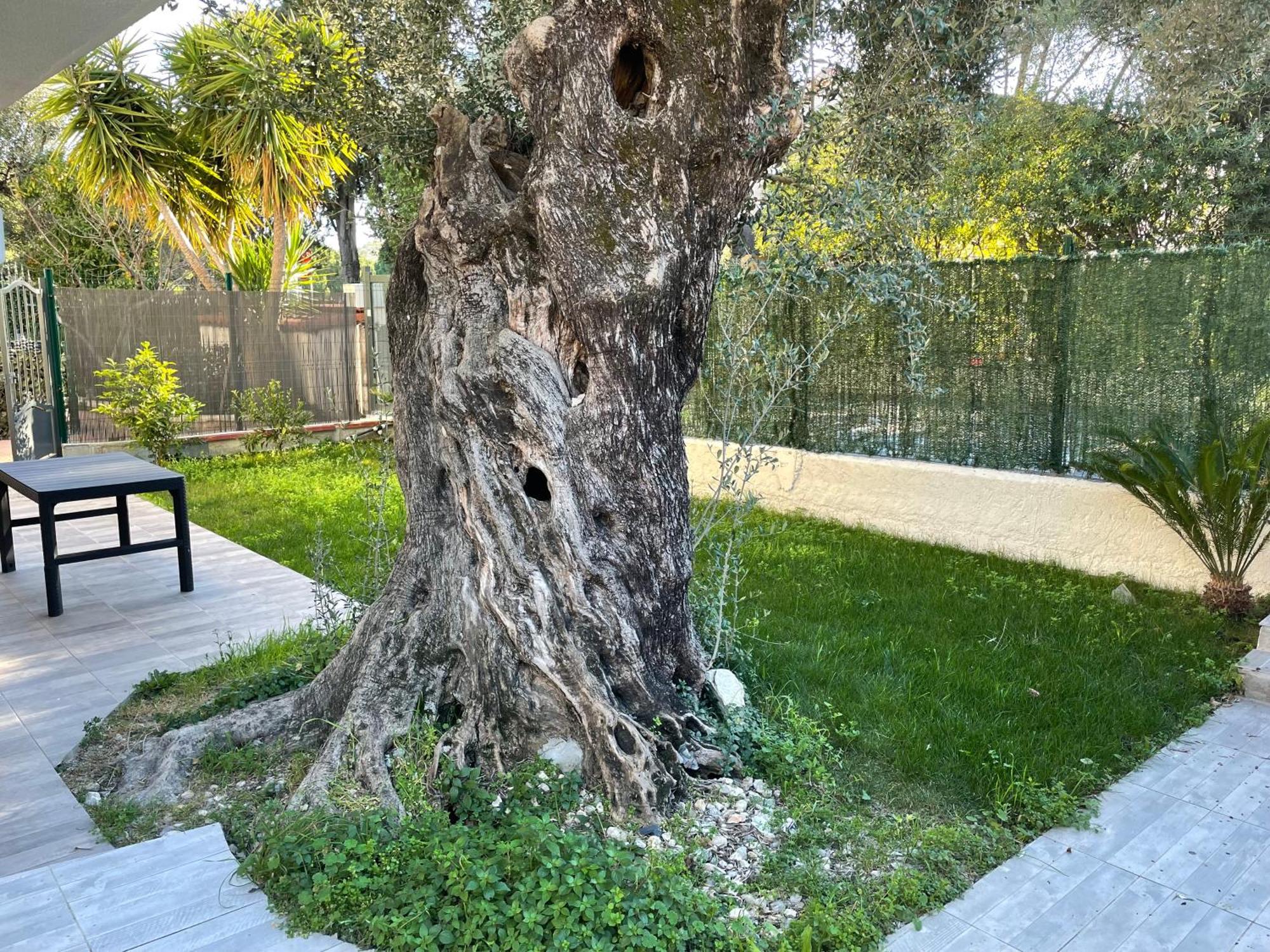 Joli Rez De Jardin 4 Pieces A Cagnes Sur Mer ภายนอก รูปภาพ